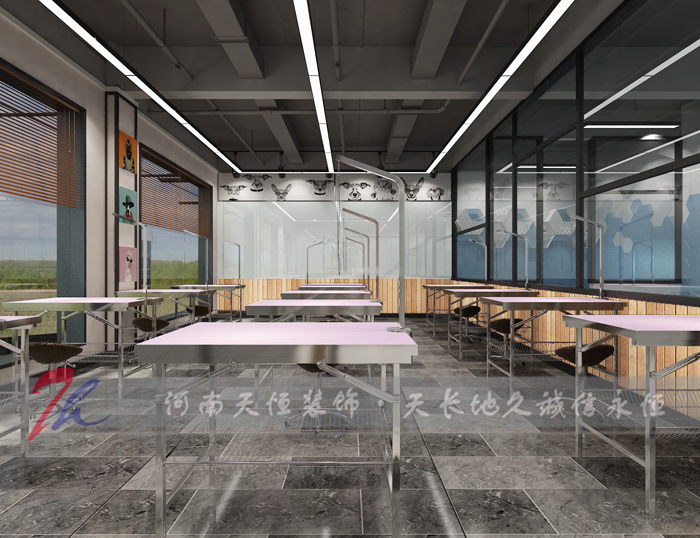 鄭州天行寵物(wù)美(měi)容培訓機(jī)構設計(jì)
